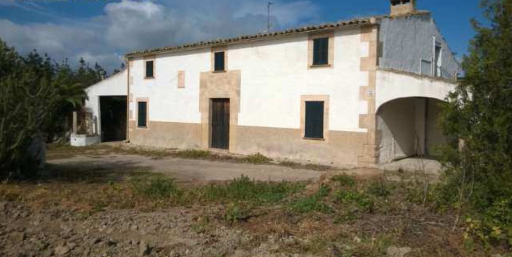 MIL ANUNCIOS.COM - Sineu sant joan en Sant Joan