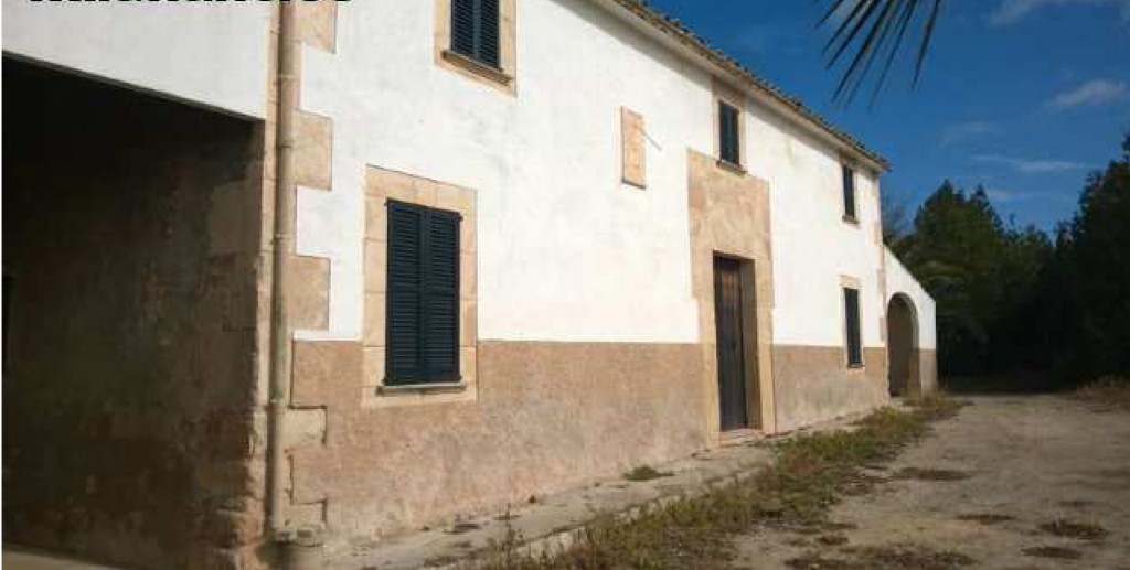 MIL ANUNCIOS.COM - Sineu sant joan en Sant Joan