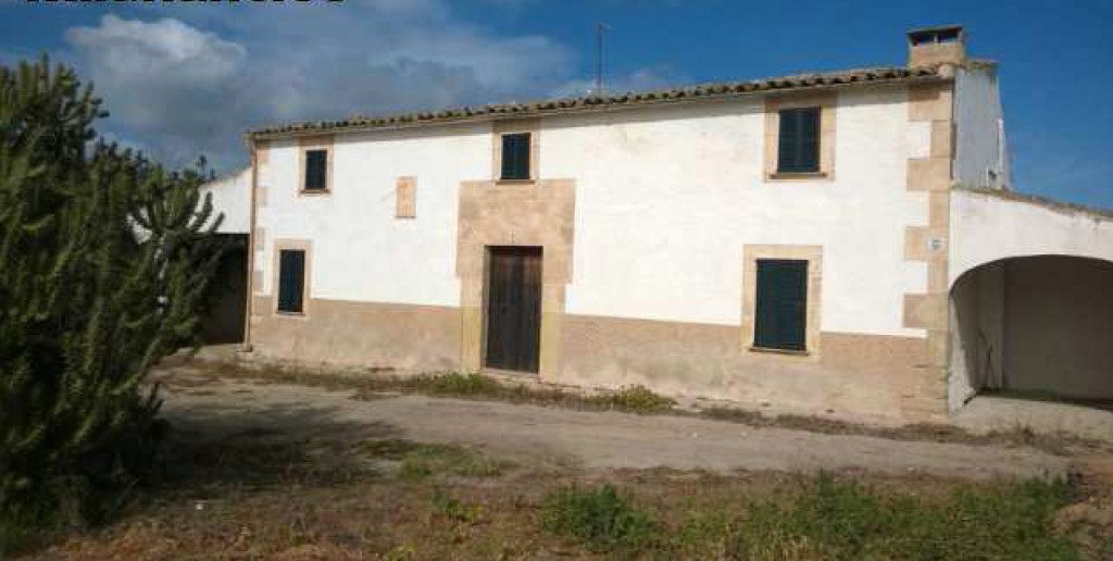 MIL ANUNCIOS.COM - Sineu sant joan en Sant Joan