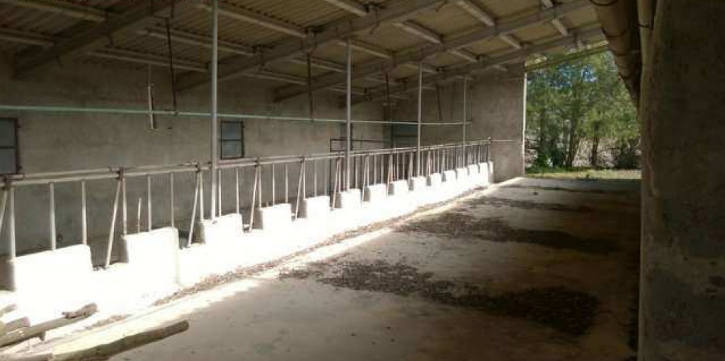 MIL ANUNCIOS.COM - Sineu sant joan en Sant Joan